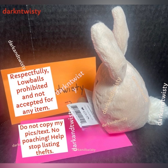 ORIGINAL OWNER BNWT JELLYCAT AMUSEABEAN BUNNY AUTH RECEIPT NEVER SECONDHAND! - Picture 6 of 13